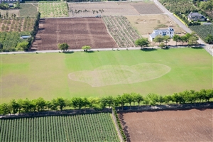 鹿野高臺大草原